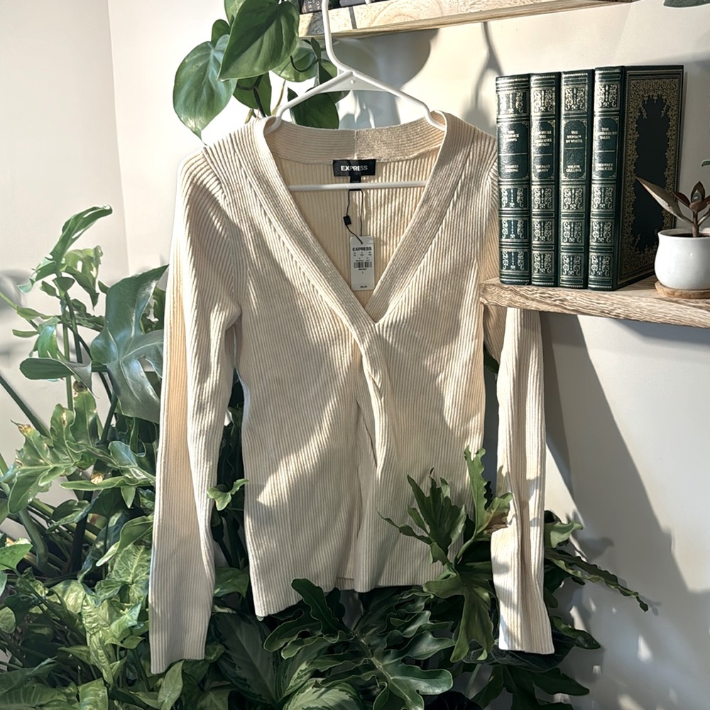 NEW Express cable knit center line sweater